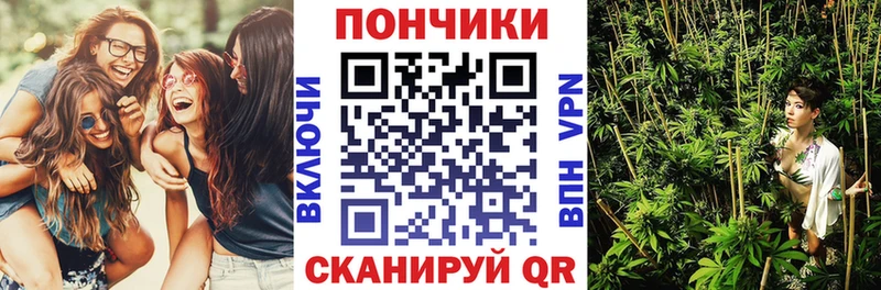 Наркота Буйнакск Бошки Шишки  Меф мяу мяу  МЕТАДОН  Гашиш  Кокаин  Alpha-PVP 