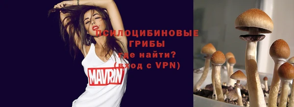 амфетамин Богородицк