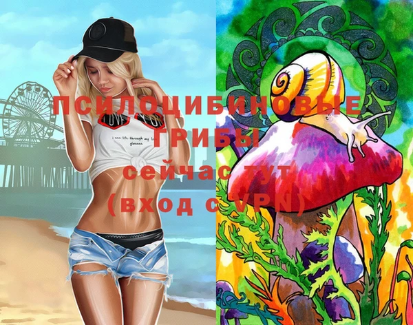 метамфетамин Белокуриха