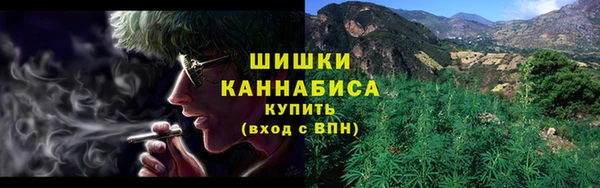 МДПВ Богородск