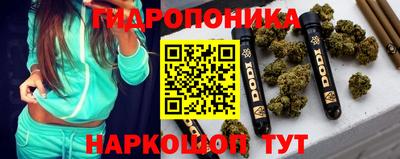 твердый Новодвинск