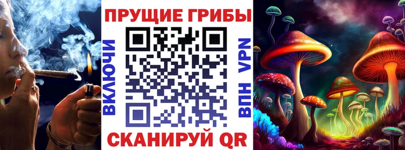 hydra маркетплейс купить наркоту Буйнакск Галлюциногенные грибы MAGIC MUSHROOMS
