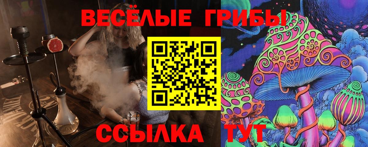 Псилоцибиновые грибы MAGIC MUSHROOMS Буйнакск