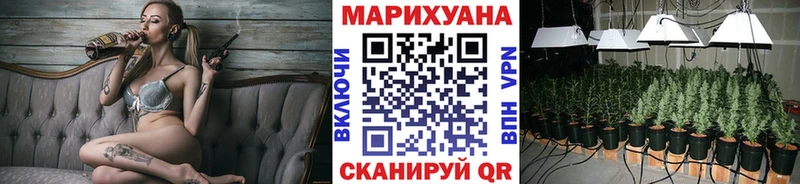 Бошки марихуана AK-47  наркотики  кракен   Буйнакск 